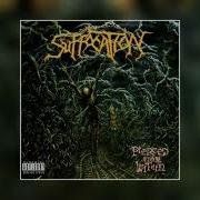 Suffocation 1995 Full Album