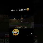Мармок Месть Собак