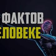 300 Фактов О Человеке