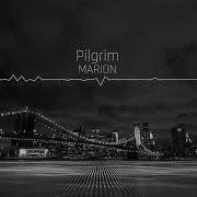 Pilgrim Marion