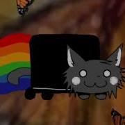 Scandinavinyan Nyan Amator