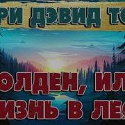 Уолтер Или Жизнь В Лесу