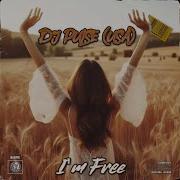 Dj Pulse Usa I M Free Deep House Mix