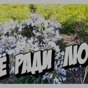 Сергей Грищук Всё Ради Любви