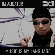 Angel Dj Aligator