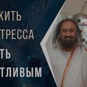 Искусство Без Стресса