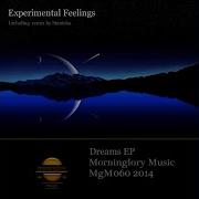 Dreams Stanisha Remix Experimental Feelings