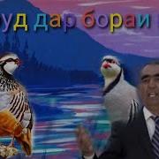 Амриддин Кабири