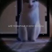 Алё Пожарные Хочу Бананы