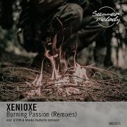 Burning Passion 8 P M Remix