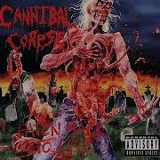 Cannibal Corpse Eaten Back To Live