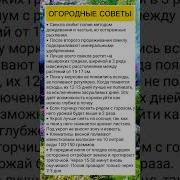 Дача И Огород Полезные Советы