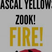 Zook Enigma Fire Feat Pascal Yellows