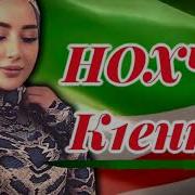 Ася Халидова Нохчи К1Енти