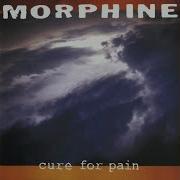 Morphine Let S Take A Trip Together