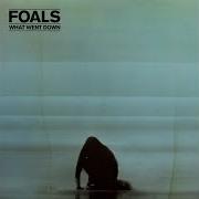 Foals Lonely Hunter