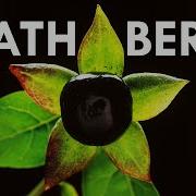 Death Berry