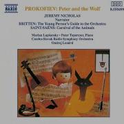 Peter Toperczer Carnival Of The Animals Xi Pianists