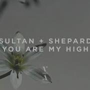 Sultan Shepard You Are My High