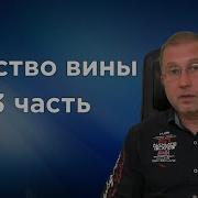 Чувство Вины Ты Не Виноват 3 Часть