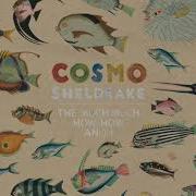 Cosmo Sheldrake Axolotl