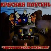 Амнезия Красная Плесень