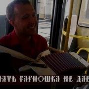 Спать Гармошка Не Дает
