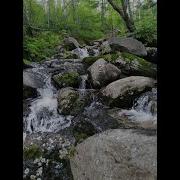 Катя Огонек Километри Колючки