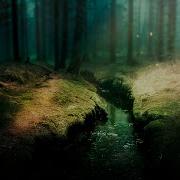 The Ambientalist The Hidden Path