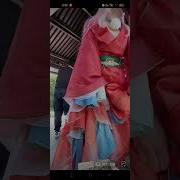 绾绾Samr