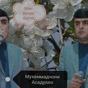 Мухаммадчони Асадулло 2022