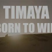 I M Born To Win