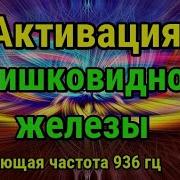 Активация Шишковидной Железы Музыка