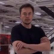 This Is Pidoras Elon Musk