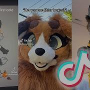 Tik Tok Furry