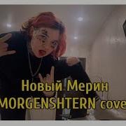 Алëна Швец Cover Песня Новый Меринг