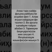 Сура Алам Тара Кайфа