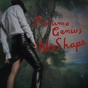 Choir Perfume Genius