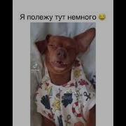 Я Просто Лежу С Закрытыми Глазами Сваты