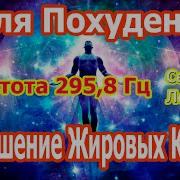 295 8 Гц Разрушение Жировых Клеток