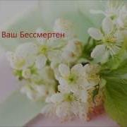 Клип О Женщинах На Войне