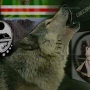 Чеченская Песня Роза