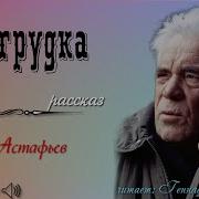 Белогрудка Астафьев