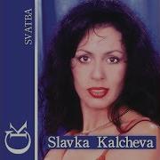 Бяла Роза Славка Калчева