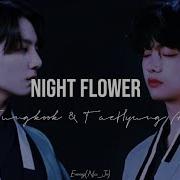 Night Flower Jungkook Taehyung