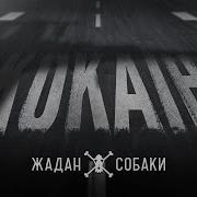 Жадан І Собаки Кокаїн