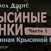 Павел Дартс Крысиная