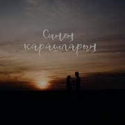 Миндияр Шаймарданов Синен Карашларын
