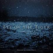 Eye Of The Tiger Cinematic