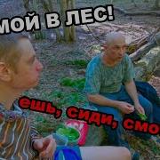 Едим По России Вокруг Полей Массивы